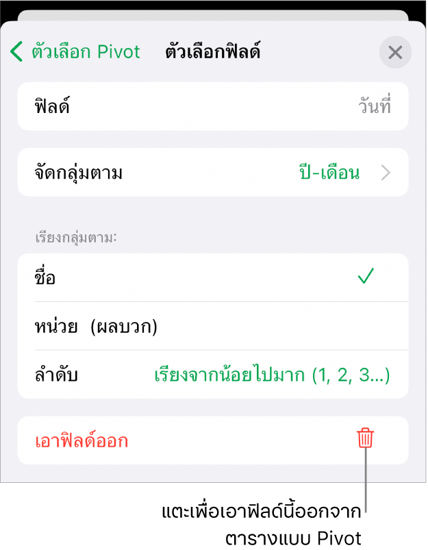 เมนูตัวเลือกฟิลด์ ที่แสดงตัวควบคุมสำหรับการจัดกลุ่มและการเรียงข้อมูล รวมถึงตัวเลือกในการเอาฟิลด์ออก