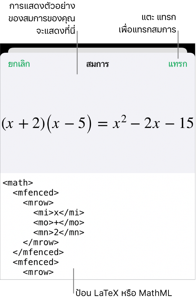 หน้าต่างโต้ตอบสมการ ที่แสดงสมการที่เขียนโดยใช้คำสั่ง MathML และการแสดงตัวอย่างของสูตรด้านบน