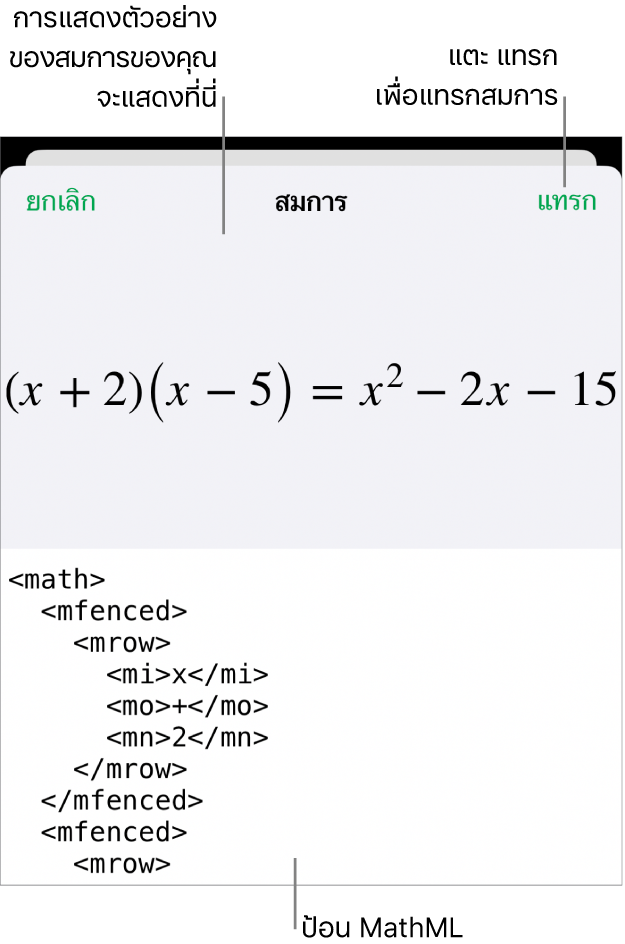 หน้าต่างโต้ตอบสมการ ที่แสดงสมการที่เขียนโดยใช้คำสั่ง MathML และการแสดงตัวอย่างของสูตรด้านบน