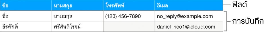 ตารางที่ตั้งค่าสำหรับใช้กับแบบฟอร์มอย่างเหมาะสมซึ่งมีแถวหัวตารางที่มีป้ายชื่อของฟิลด์ และรายการบันทึกที่แสดงข้อมูลติดต่อสำหรับทะเบียนรายชื่อของทีมกีฬา