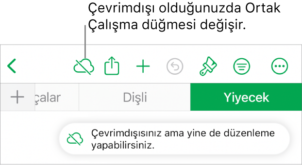 Ekranın en üstündeki düğmeler; Ortak Çalışma düğmesi, üzerinde çapraz bir çizgi olan bir buluta değişmiş. Ekrandaki bir uyarı “Çevrimdışısınız ama yine de düzenleyebilirsiniz” der.