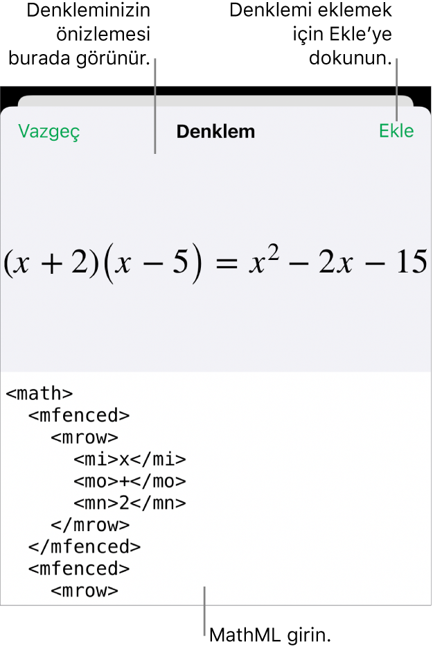 MathML komutları kullanılarak yazılmış bir denklemi ve onun üstünde formülün önizlemesini gösteren Denklem sorgu kutusu.