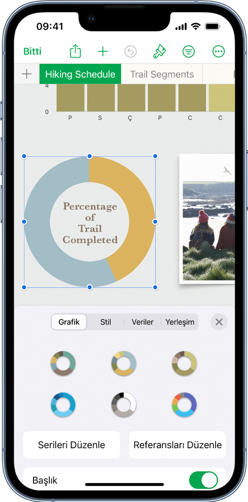 Tamamlanan parkur yüzdelerini gösteren bir pasta grafiği. Biçim menüsü de açık ve aralarından seçim yapabileceğiniz farklı grafik stillerinin yanı sıra serileri veya grafik referanslarını düzenleme ve grafik başlığını açıp kapatma seçenekleri de gösteriliyor.