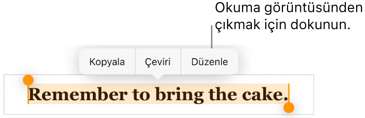 Bir cümle seçilir, üstünde Kopyala ve Düzen düğmeleri ile bağlamsal menü bulunur.