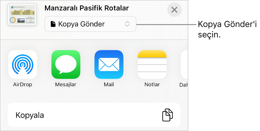 Paylaş menüsü, en üstte Kopya Gönder seçili.