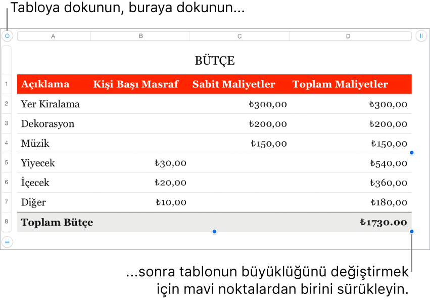 Yeniden boyutlandırma için mavi noktaları bulunan seçili bir tablo.