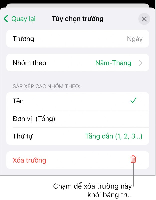 Menu Tùy chọn trường, đang hiển thị các điều khiển để nhóm và sắp xếp dữ liệu cũng như tùy chọn để xóa trường.