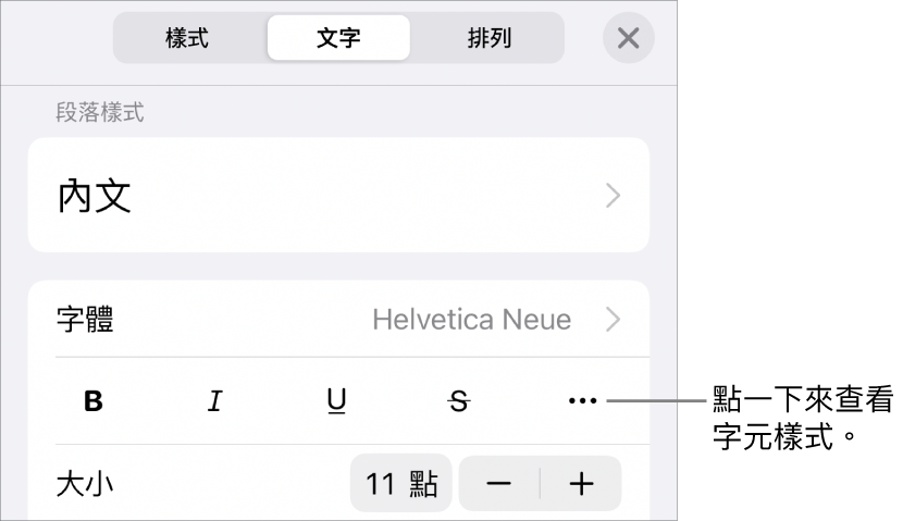 具備段落樣式的「格式」控制項目在最上方，然後是「字體」控制項目。「字體」下方為「粗體」、「斜體」、「底線」、「刪除線」和「更多文字選項」按鈕。