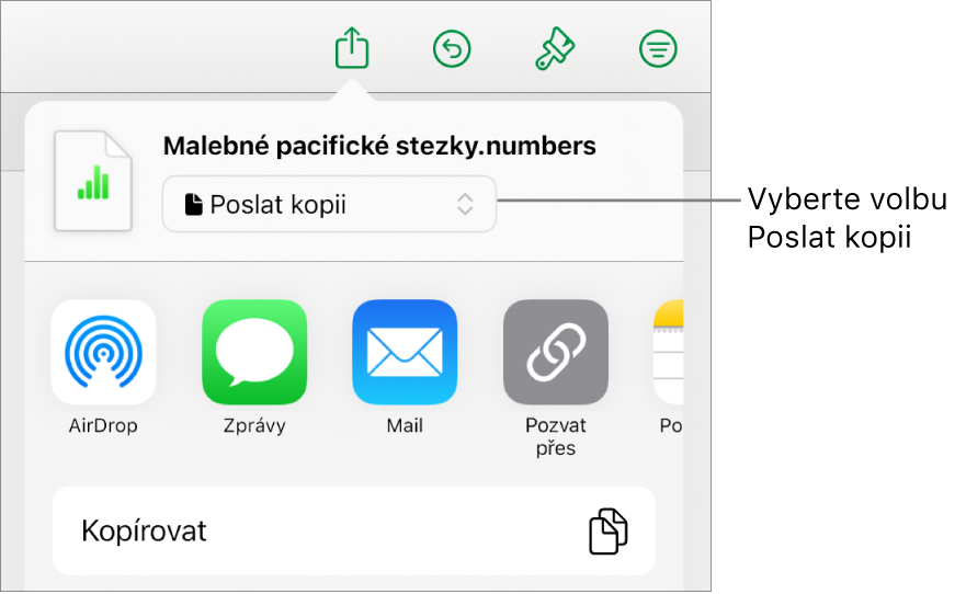 Nabídka sdílení, v níž je nahoře vybraná volba Poslat kopii