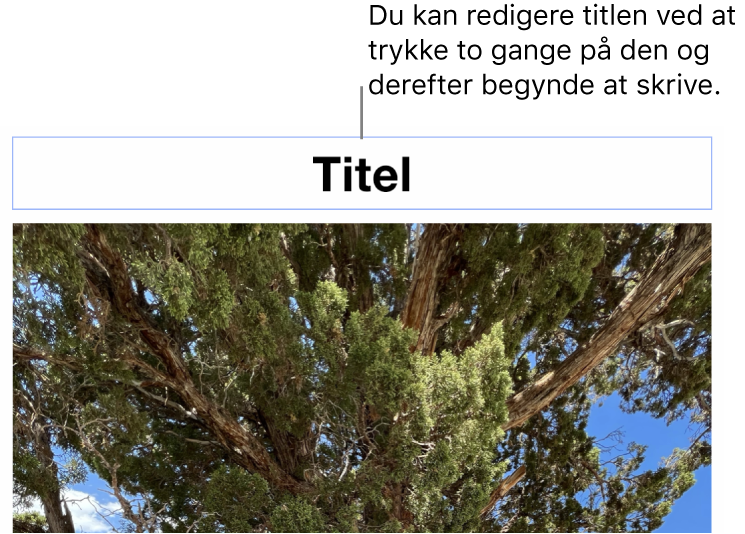 Eksempeltitlen “Titel” vises under et foto, og en blå kontur rundt om feltet med titlen viser, at det er valgt.