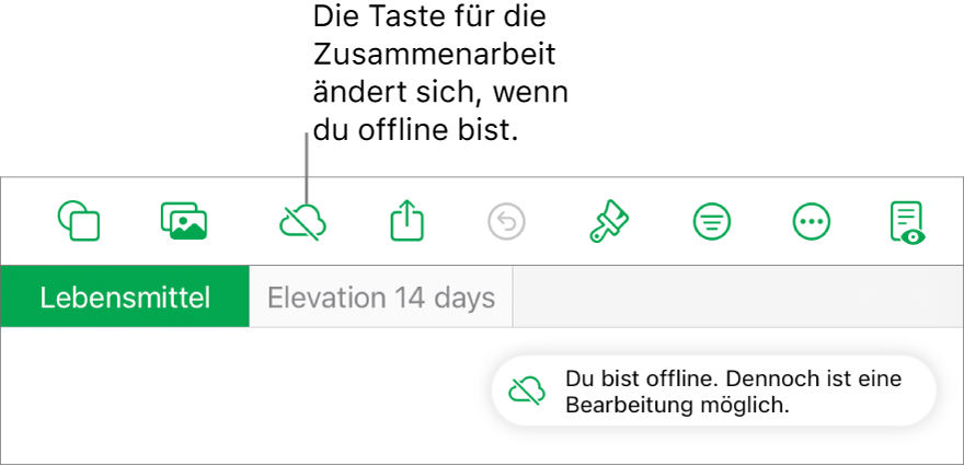 Die Tasten oben auf dem Bildschirm, darunter die Taste „Zusammenarbeit“, die als mit einer diagonalen Linie durchgestrichenen Wolke dargestellt wird. Ein Hinweis auf dem Bildschirm besagt, dass du offline bist, aber weiterhin arbeiten kannst.