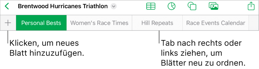 Tableiste zum Hinzufügen eines neuen Blatts und zum Navigieren, Neuanordnen und Neusortieren von Blättern.