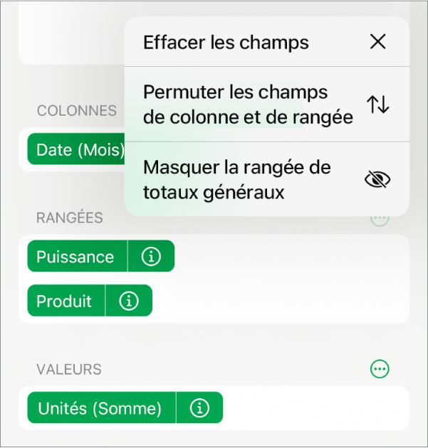 Menu Options de champ avec commandes permettant de masquer les totaux généraux, de permuter les champs de colonne et de rangée et d’effacer des champs.