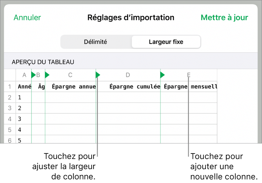 Réglages d’importation d’un fichier texte à largeur fixe.