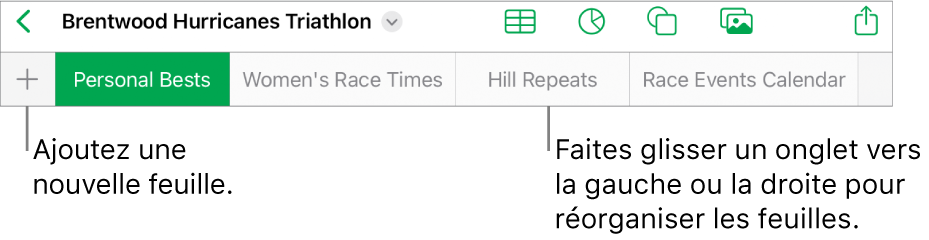 Barre des onglets pour ajouter une feuille, parcourir et réorganiser les feuilles.