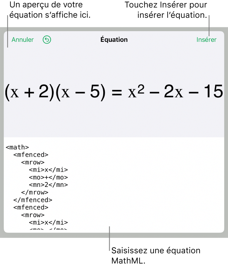 Zone de dialogue Équation, affichant une équation composée à l’aide des commandes MathML, et un aperçu de la formule au-dessus.