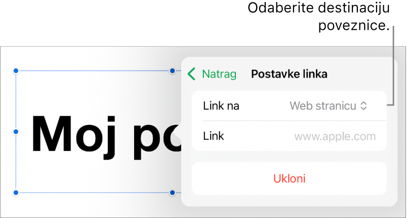 Kontrole Postavke linka s odabranom opcijom Web stranica, tipka Ukloni nalazi se na dnu.