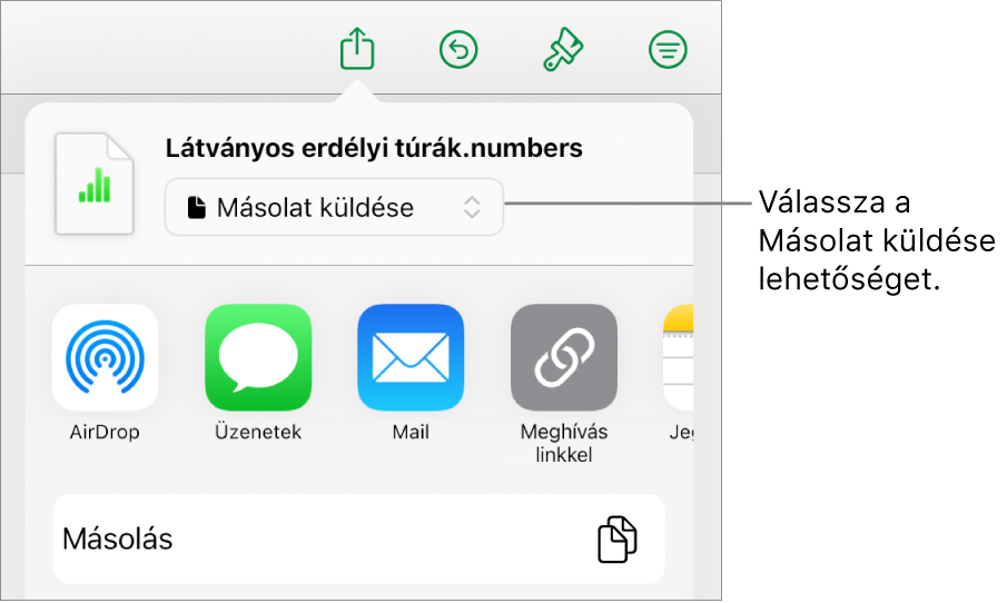 A Megosztás menü a felül elhelyezkedő Másolat küldése lehetőséggel.