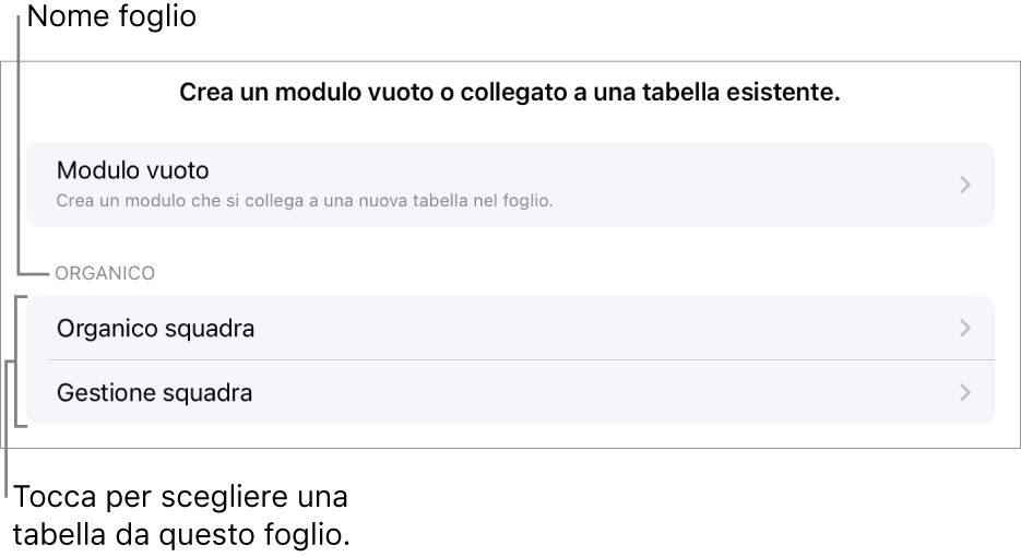 Un elenco di tabelle nello stesso foglio di calcolo, con l’opzione per creare un modulo vuoto in alto.