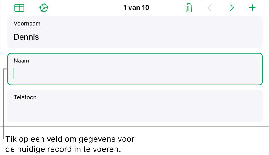 Een record in een formulier met het invoegpunt in een geselecteerd veld.