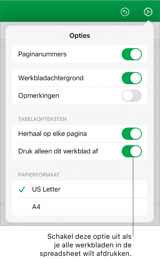 Het afdrukvoorbeeldpaneel met regelaars om paginanummers weer te geven, kopteksten op elke pagina te herhalen, het papierformaat te wijzigen, of te kiezen of de hele spreadsheet dan wel alleen het huidige werkblad moet worden afgedrukt.