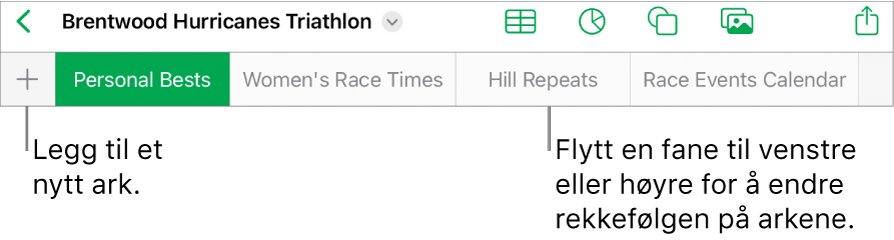Fanelinjen for å legge til et nytt ark, navigere, endre rekkefølge på og omorganisere ark.