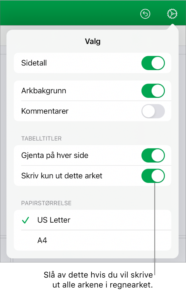 Utskriftsforhåndsvisning-panelet, med kontroller for å vise sidetall, gjenta tittelceller på hver side, endre papirstørrelse og valg for å skrive ut hele regnearket eller bare gjeldende ark.