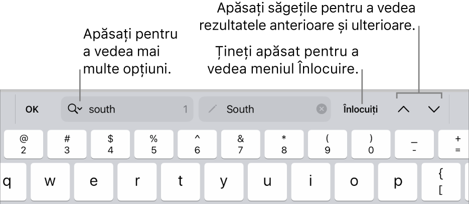 Comenzile Găsește și înlocuiește de deasupra tastaturii, cu explicații pentru butoanele Opțiuni de căutare, Înlocuiți, În sus și În jos.