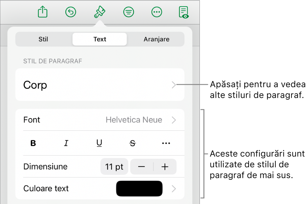 Meniul Format afișând comenzi de text pentru configurarea stilurilor, fonturilor, dimensiunii și culorii paragrafelor și caracterelor.