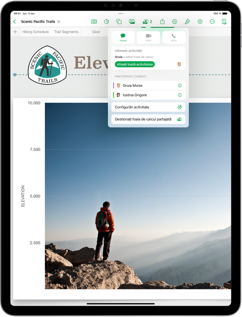 Meniul de colaborare afișând numele persoanelor care colaborează la foaia de calcul.