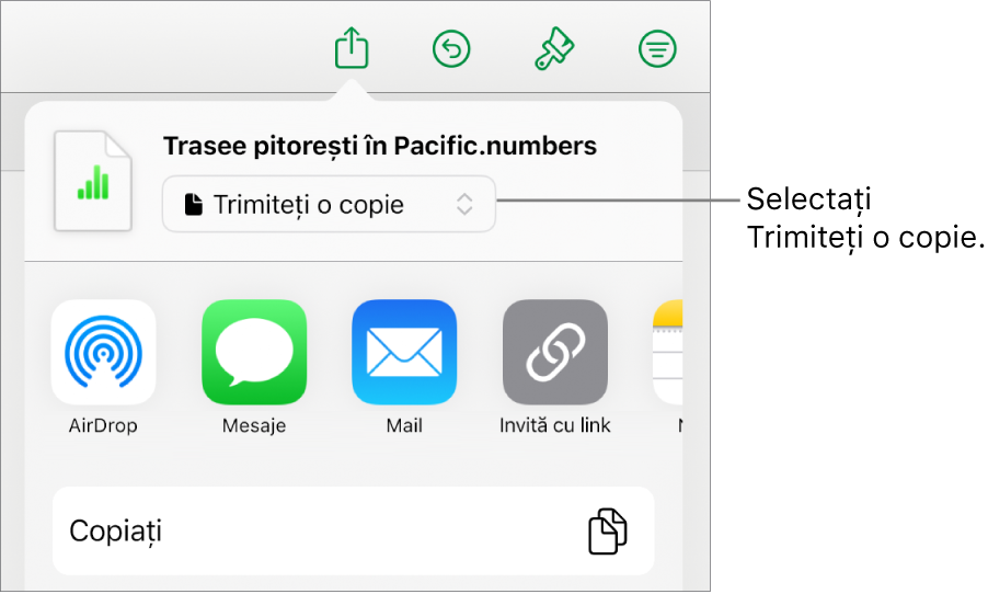 Meniul Partajează, cu opțiunea Trimite o copie selectată în partea de sus.