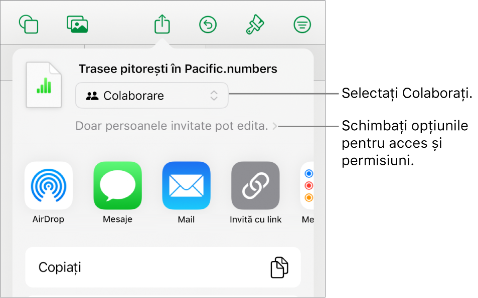 Meniul Partajați, cu opțiunea Colaborați selectată în partea de sus și configurările de acces și permisiune dedesubt.