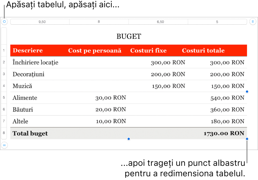 Un tabel selectat, cu puncte albastre pentru redimensionare.