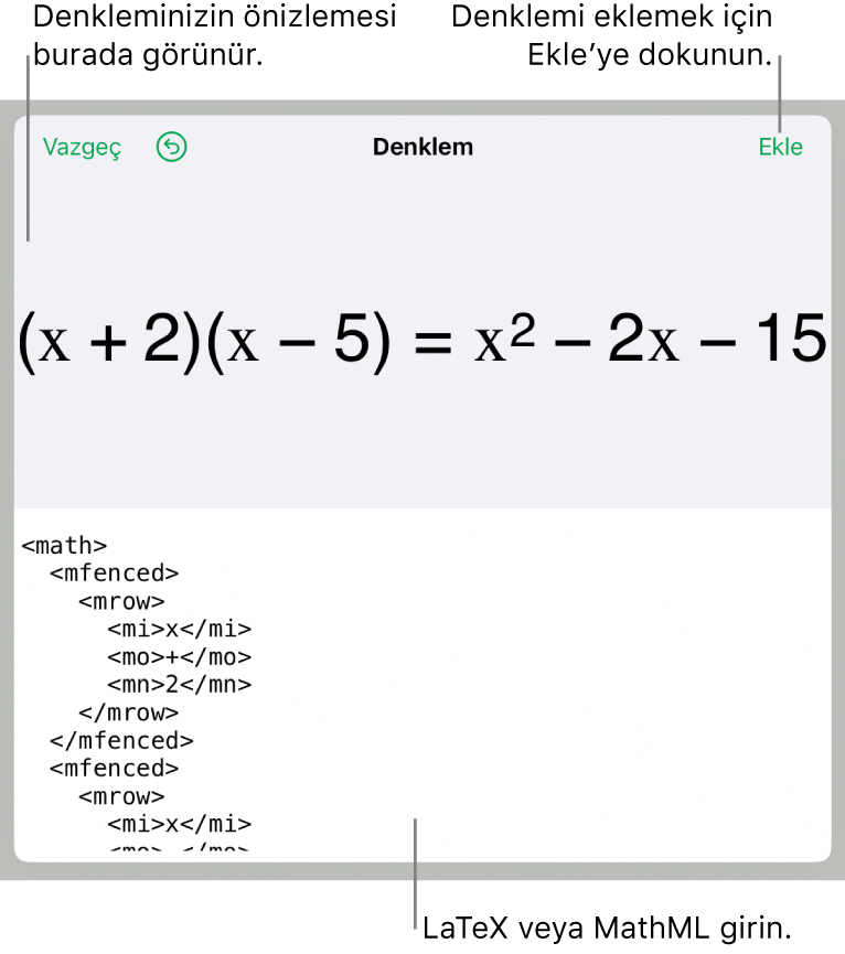 MathML komutları kullanılarak yazılmış bir denklemi ve onun üstünde formülün önizlemesini gösteren Denklem sorgu kutusu.