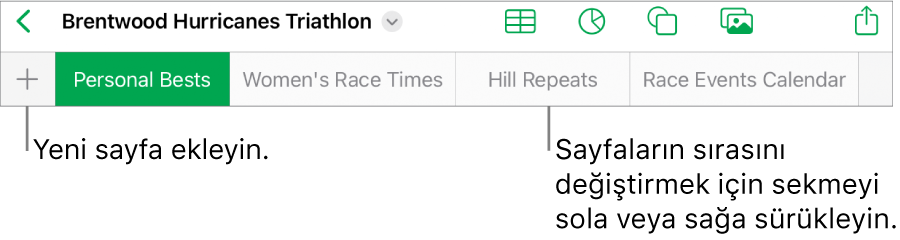 Yeni sayfa ekleme, sayfalarda dolaşma, sayfaları sıralama ve yeniden düzenleme için sekme çubuğu.