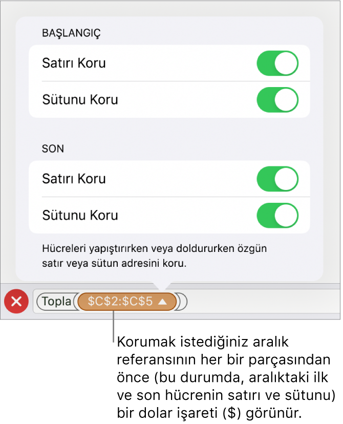 Hücre silindiğinde veya taşındığında hücrenin satır ve sütun referanslarının belirtilmesini sağlayan denetimler. Korumak istediğiniz aralık referansının her bir bölümünden önce bir dolar işareti görünür.