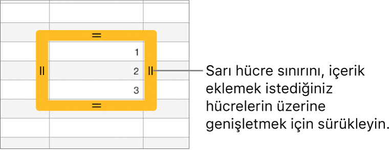 Hücreleri otomatik doldurmak için sürükleyebileceğiniz büyük sarı sınırlı seçili bir hücre.