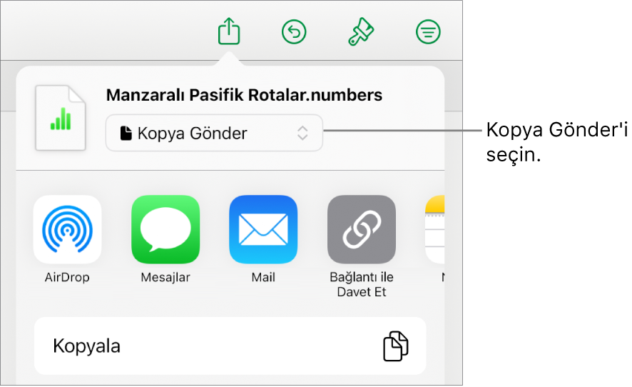 Paylaş menüsü, en üstte Kopya Gönder seçili.