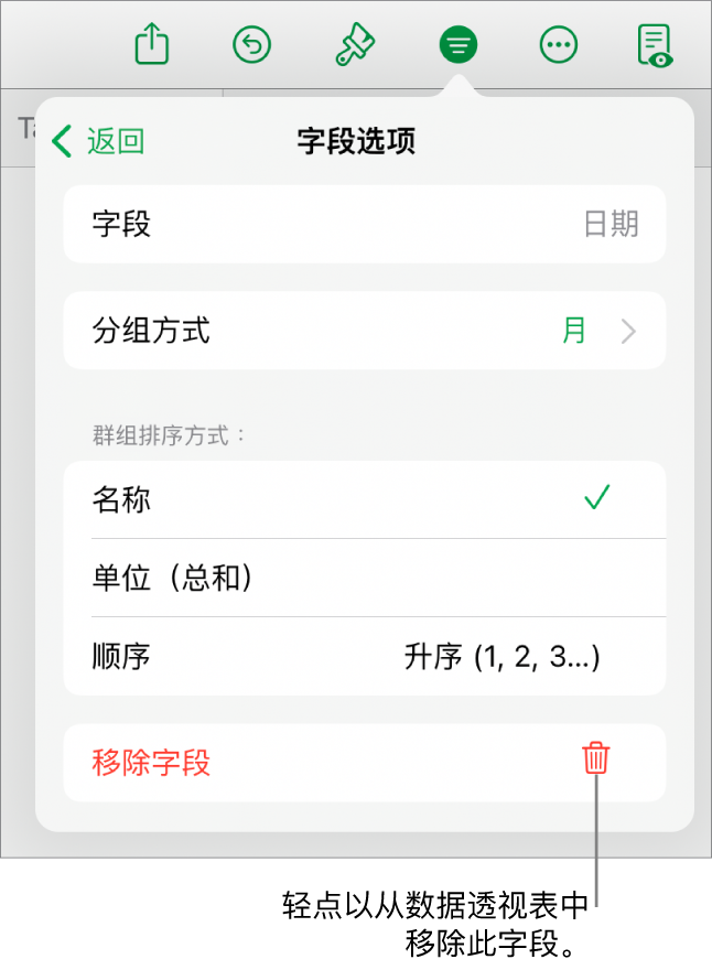 “字段选项”菜单，显示成组和排序数据的控制以及移除字段的选项。