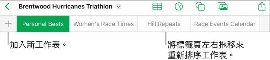 加入新工作表的標籤頁列、導覽、重新排序和重新整理工作表。