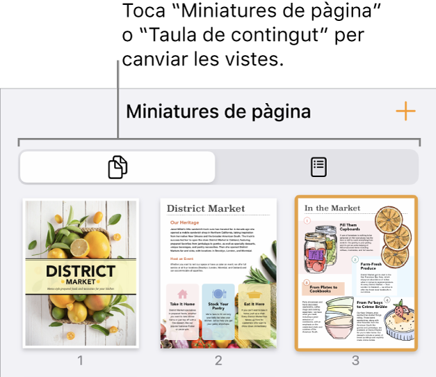 Vista “Miniatures de pàgina” amb imatges de les miniatures de cada pàgina. Els botons “Miniatures de pàgina” i “Taula de contingut” a la part inferior de la pantalla.