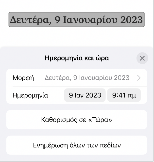 Τα στοιχεία ελέγχου «Ημερομηνία και ώρα» όπου φαίνονται ένα αναδυόμενο μενού για τη μορφή ημερομηνίας, και τα κουμπιά «Καθορισμός σε Τώρα» και «Ενημέρωση όλων των πεδίων».