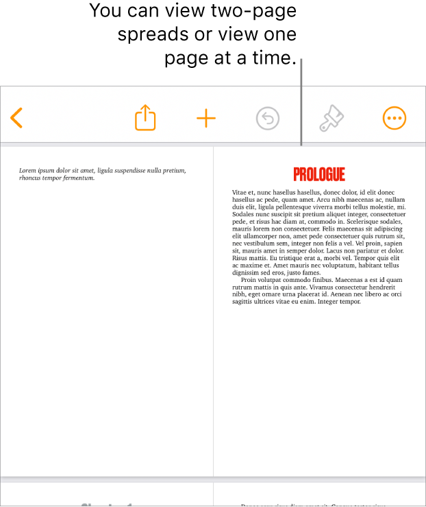 A document with pages viewed as two-page spreads.