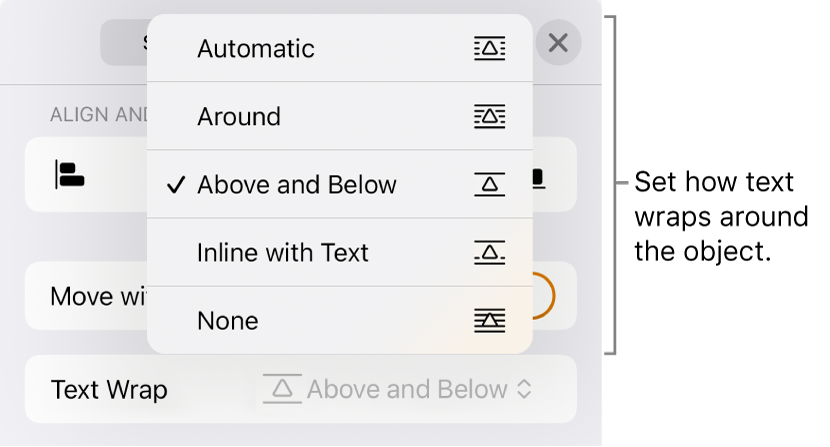 The Text Wrap controls with settings for Automatic, Around, Above and Below, Inline with Text and None.