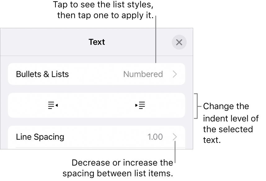 The Bullets & Lists section of the Format controls with callouts to Bullets & Lists, outdent and indent buttons, and line spacing controls.