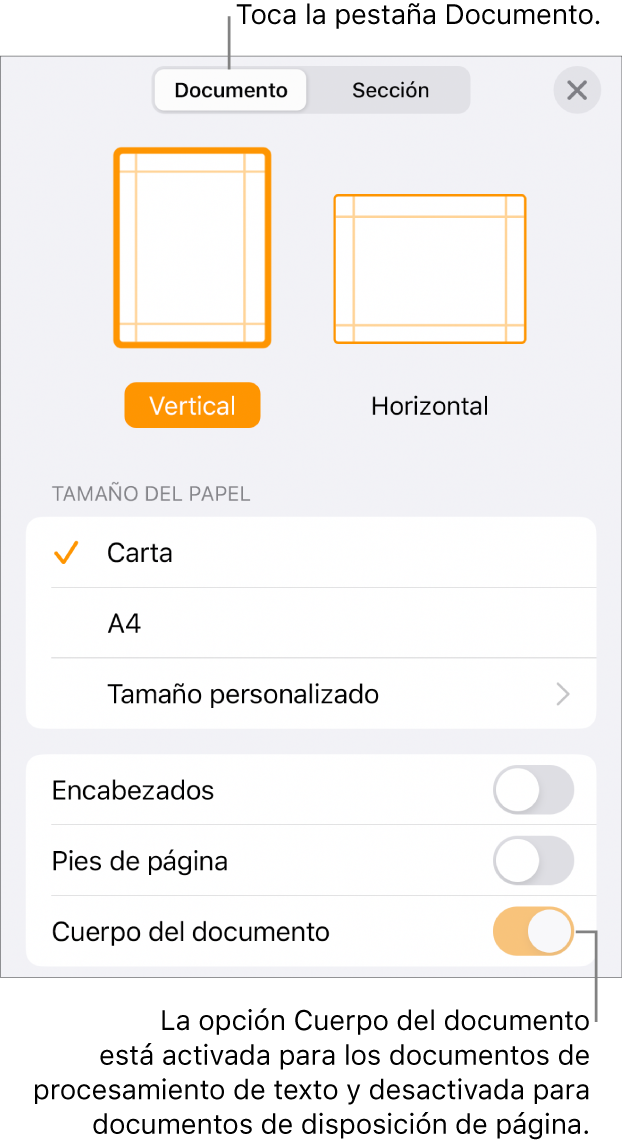 Los controles de formato del Documento con la opción Cuerpo del documento activada cerca de la parte inferior de la pantalla.