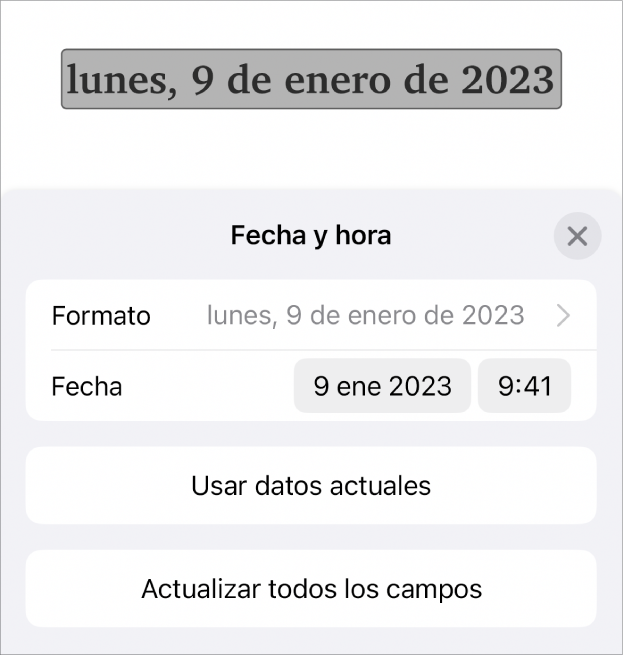 Los controles de Fecha y hora con un menú desplegable para el formato de fecha y los botones Usar datos celulares y Actualizar todos los campos.