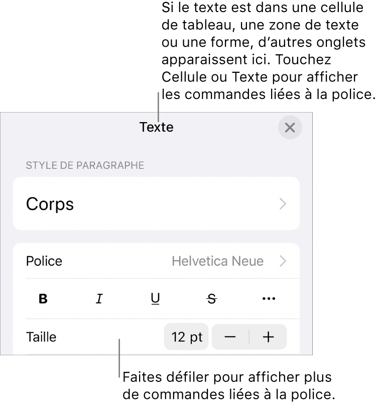 Commandes de texte du menu de format permettant de définir les styles, la police, la taille et la couleur des paragraphes et des caractères.