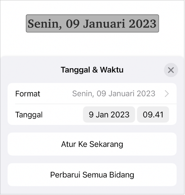 Kontrol Tanggal & Waktu menampilkan menu pop-up untuk Format tanggal, dan tombol Atur ke Sekarang serta Perbarui Semua Bidang.