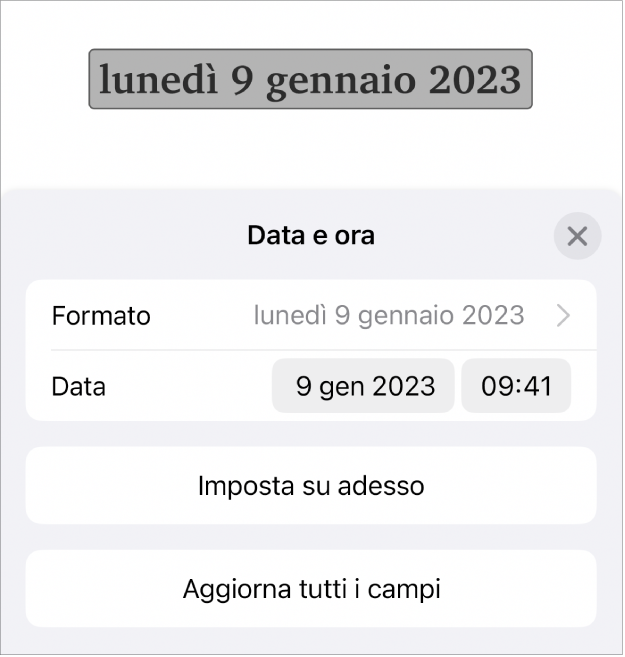 I controlli “Data e ora” con un menu comparsa per il formato della data e i pulsanti “Imposta su oggi” e “Aggiorna tutti i campi”.